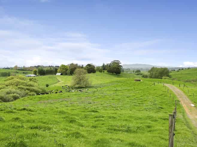897 and 63 Tahuroa Road, Morrinsville