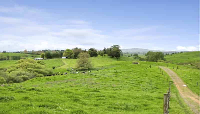 637 to 897 Tahuroa Road, Morrinsville