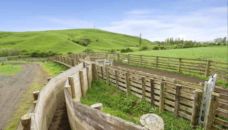 637 to 897 Tahuroa Road, Morrinsville