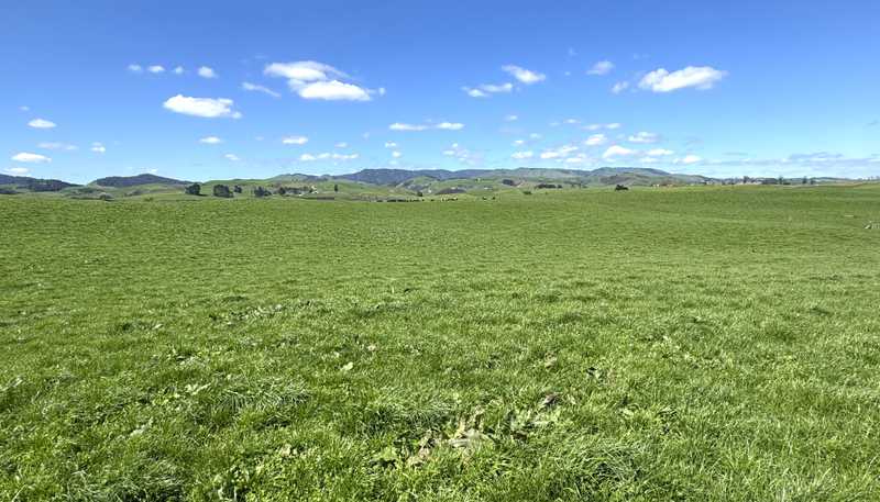204 Mangatutu Road RD2, Maihiihi