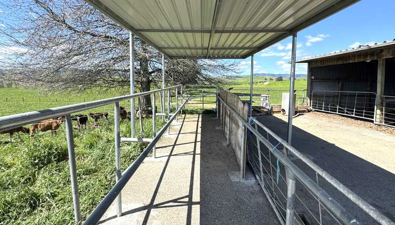204 Mangatutu Road RD2, Maihiihi