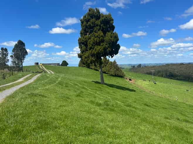 870 Mangati Road, Pirongia