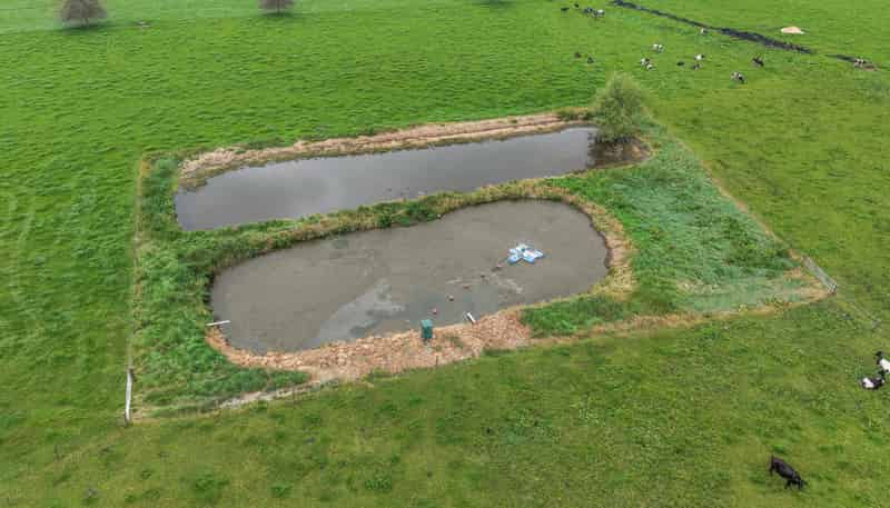 18 Pond Road, Matamata