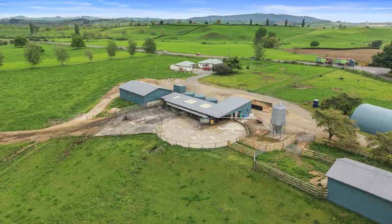 18 Pond Road, Matamata