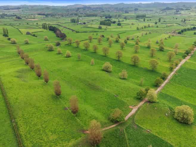 18 Pond Road, Matamata