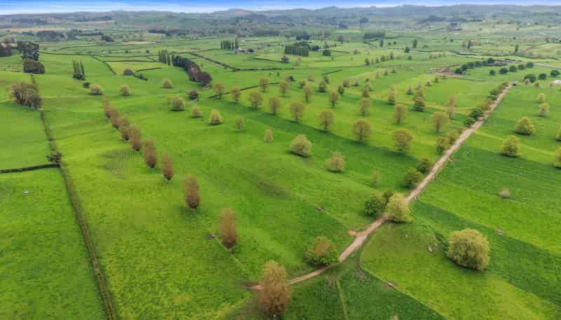 18 Pond Road, Matamata