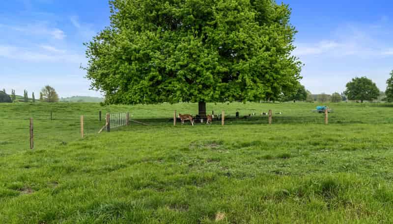 18 Pond Road, Matamata