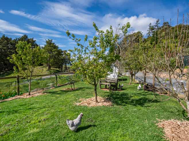 127 Mountain View Road, Hikurangi