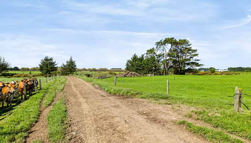 985 Manaia Road, Kapuni