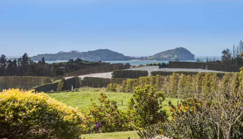 22A Noron Place, Katikati