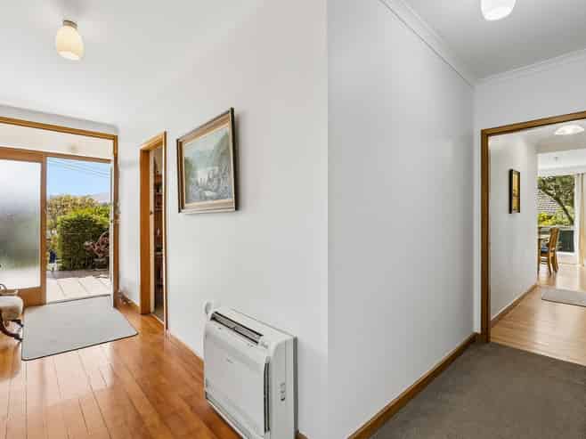 53 Sunbury Street, Andersons Bay