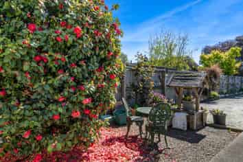 45B and 45 Blackett Street, Rangiora