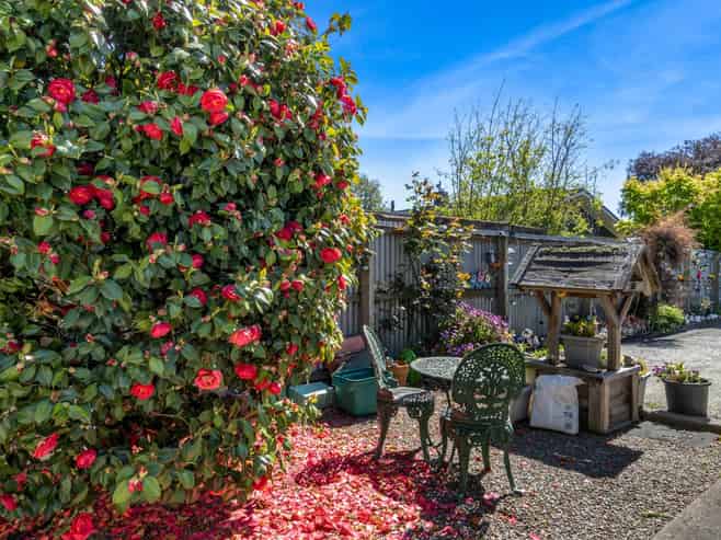 45B and 45 Blackett Street, Rangiora