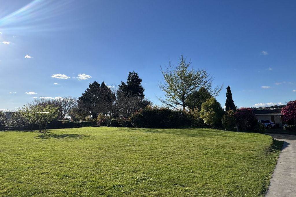 A Rare Find on Te Awamutu’s Northern Side 5
