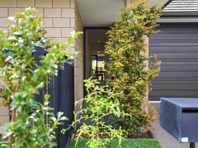 3 Bridle Way, Omokoroa
