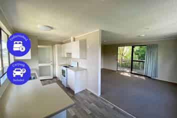 159 Don Buck Road, Massey