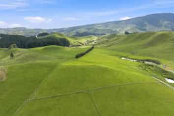 447 Pinfold Road, Papatawa