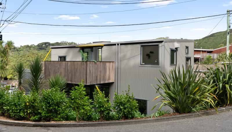 49 Mt Pleasant Road, Aro Valley