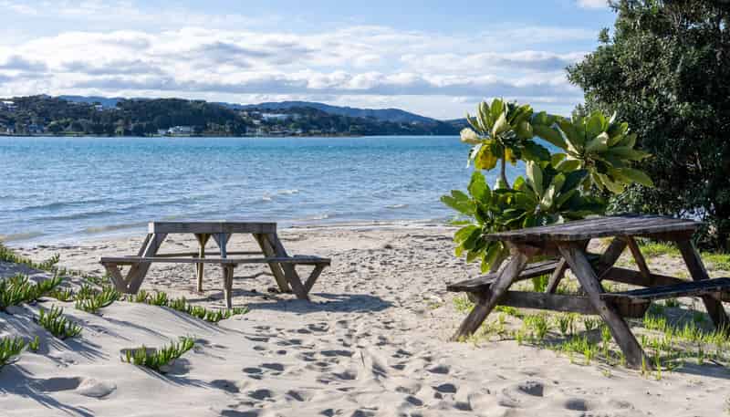 Lot 3, 194 Tern Point, Mangawhai