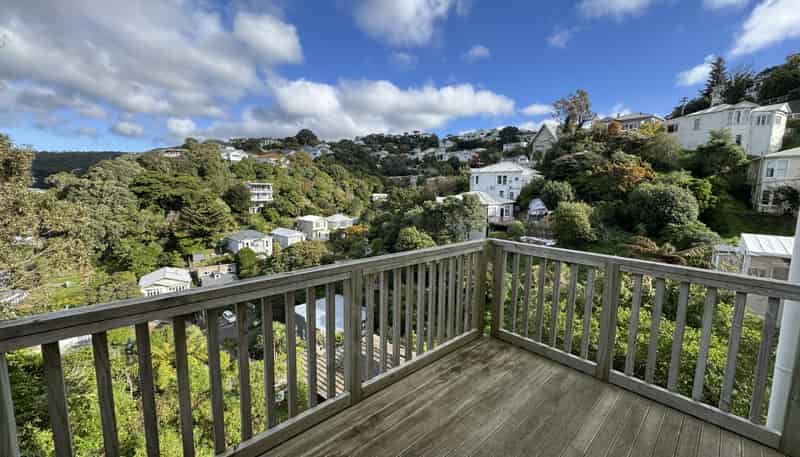 17 Plunket Street, Kelburn