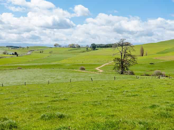 17 Chepmell Road, Morrinsville