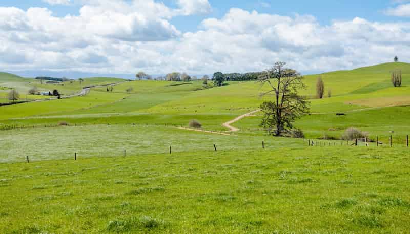 17 Chepmell Road, Morrinsville