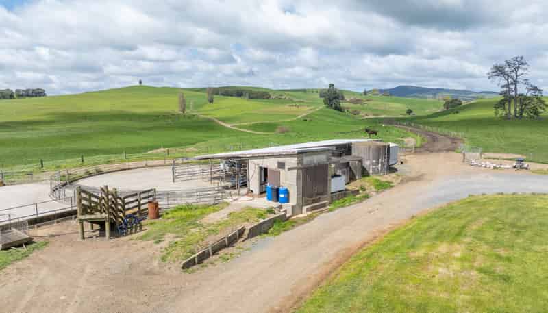 17 Chepmell Road, Morrinsville