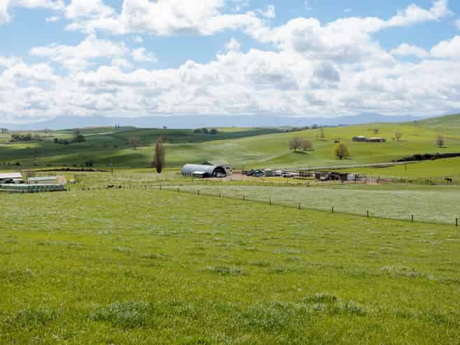 17 Chepmell Road, Morrinsville