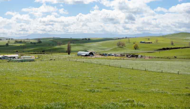 17 Chepmell Road, Morrinsville