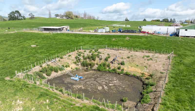 17 Chepmell Road, Morrinsville