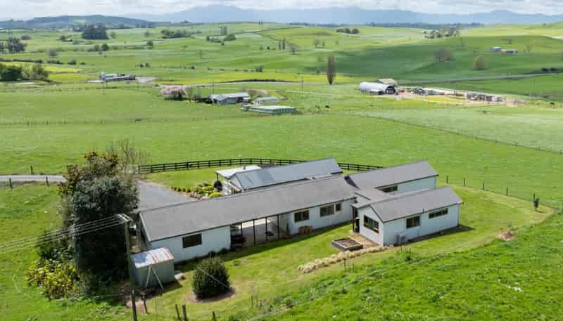 17 Chepmell Road, Morrinsville