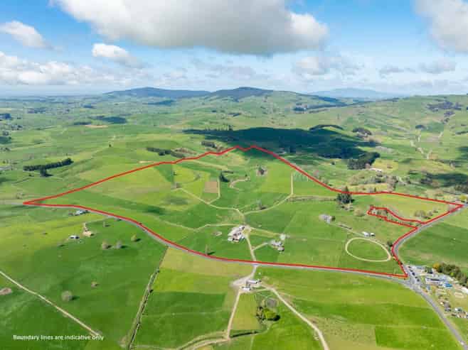 17 Chepmell Road, Morrinsville