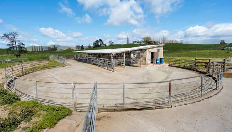 17 Chepmell Road, Morrinsville