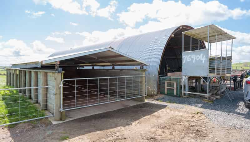 17 Chepmell Road, Morrinsville