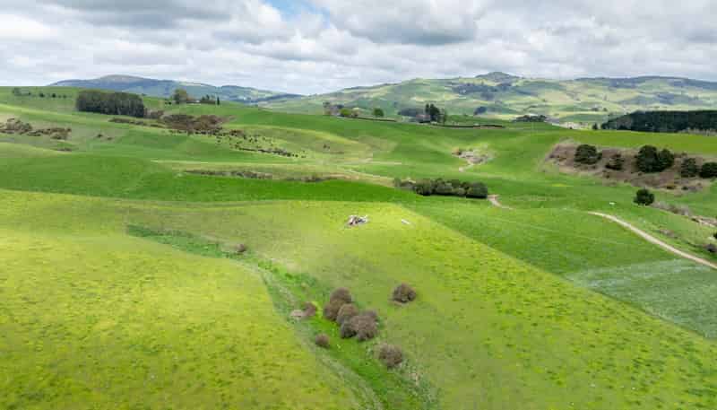 17 Chepmell Road, Morrinsville