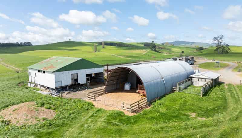 17 Chepmell Road, Morrinsville