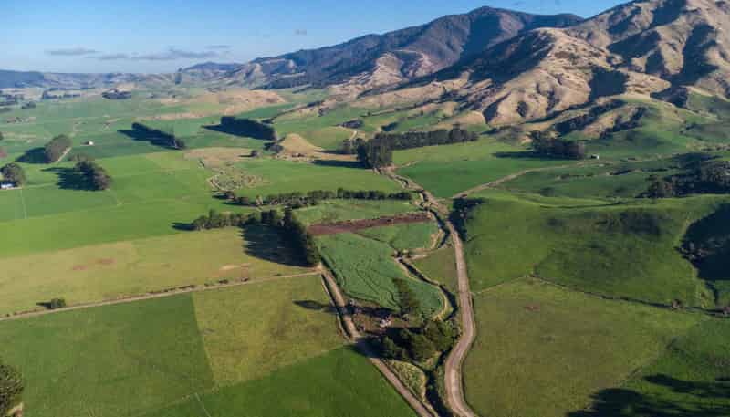 454 Parkville Road, Eketahuna