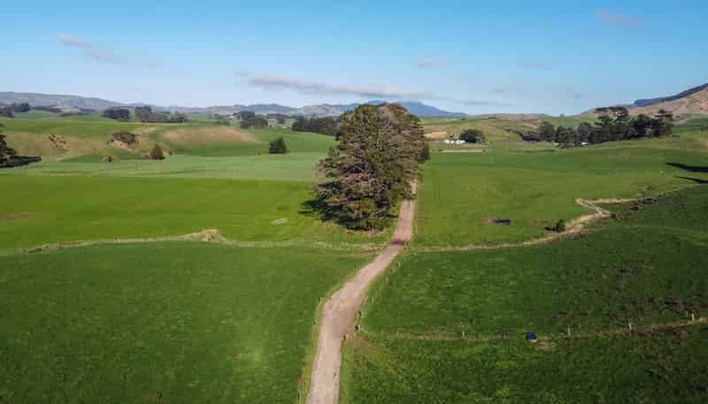 454 Parkville Road, Eketahuna