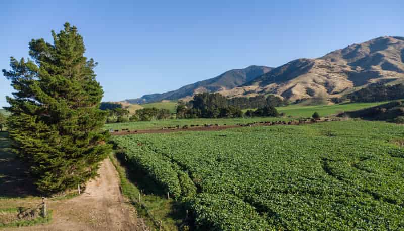 454 Parkville Road, Eketahuna