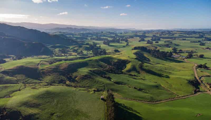 454 Parkville Road, Eketahuna