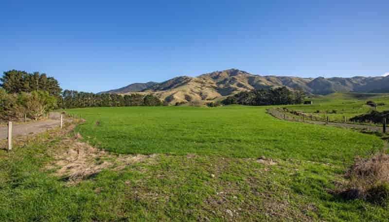 454 Parkville Road, Eketahuna
