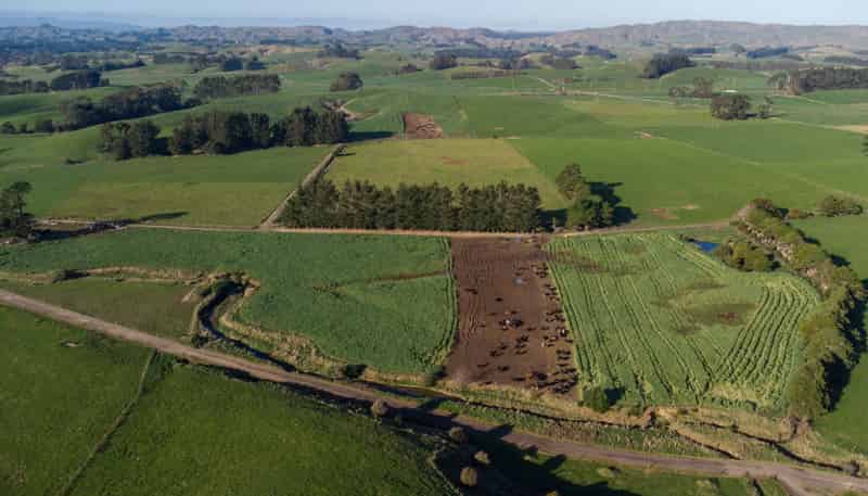 454 Parkville Road, Eketahuna