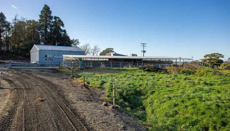 454 Parkville Road, Eketahuna