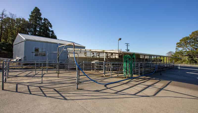 454 Parkville Road, Eketahuna