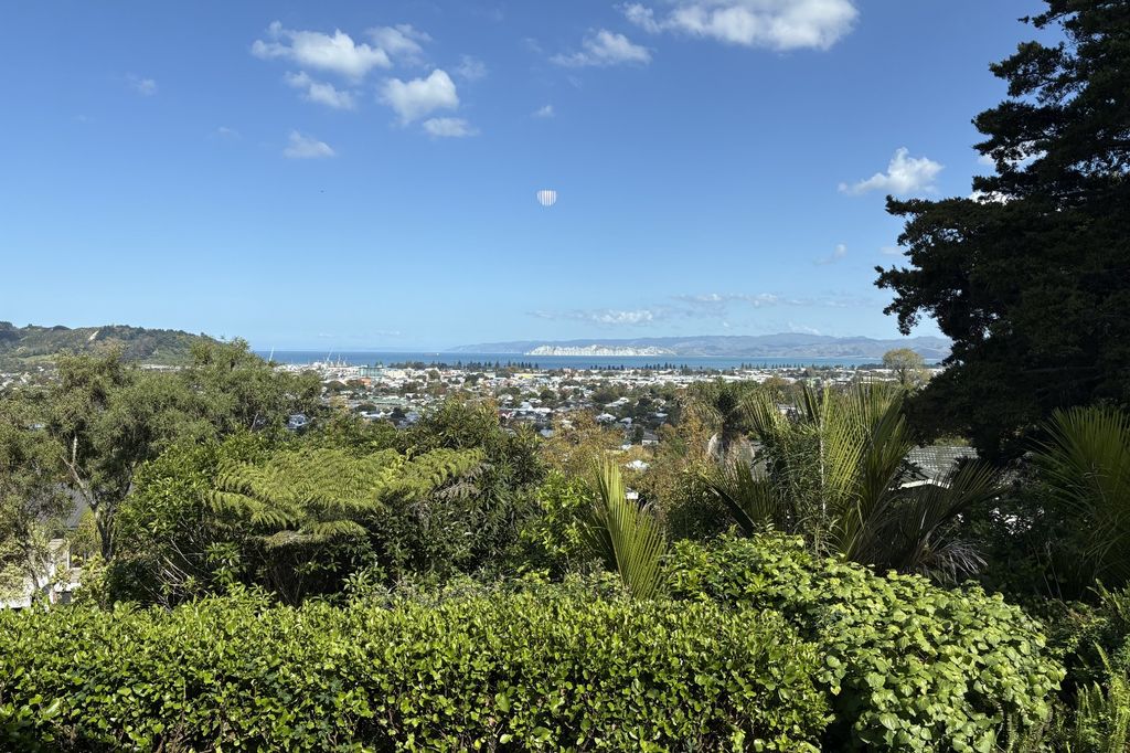 Elevated views overlooking Gisborne 2