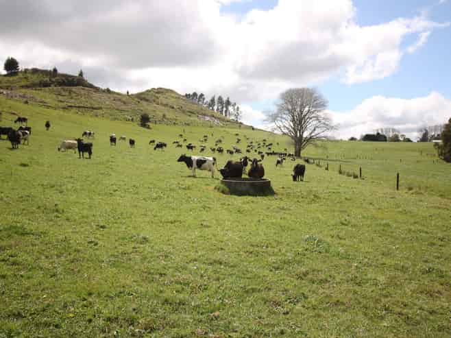 664 Te Pua Road, Kaikohe