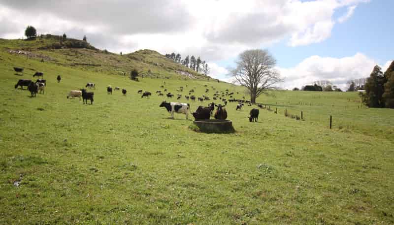 664 Te Pua Road, Kaikohe