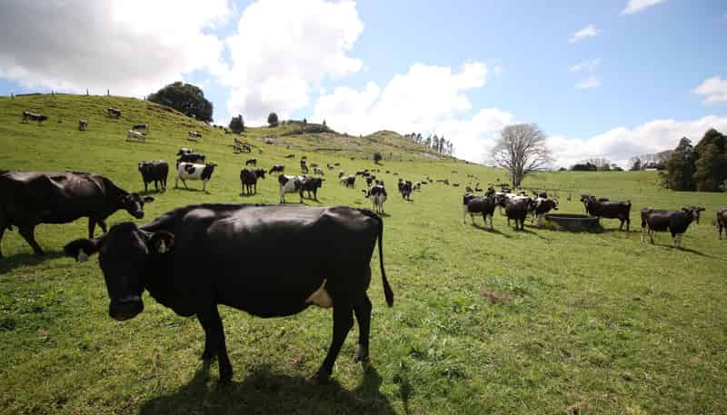 664 Te Pua Road, Kaikohe