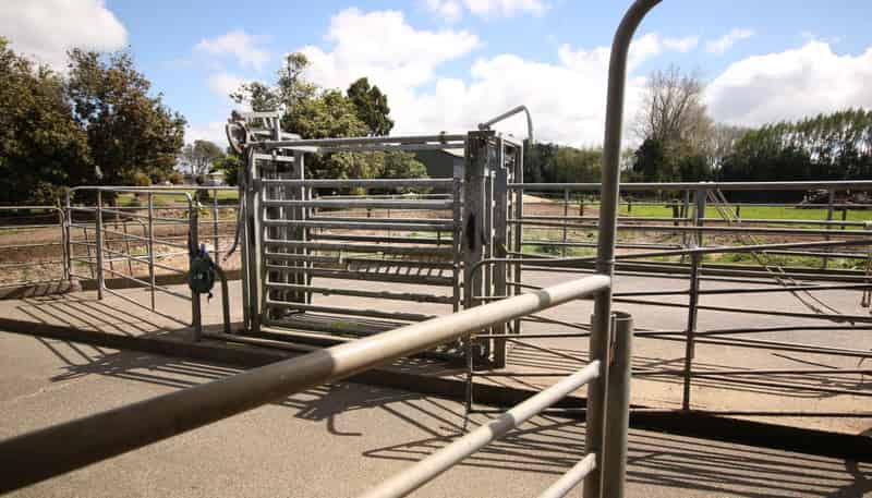 664 Te Pua Road, Kaikohe