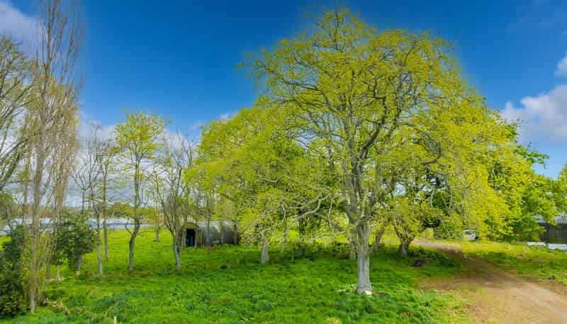   Morrinsville Road, SH26, Newstead